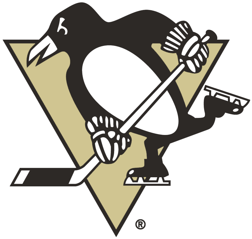 Pittsburgh Penguins 2002-2016 Primary Logo DIY iron on transfer (heat transfer)